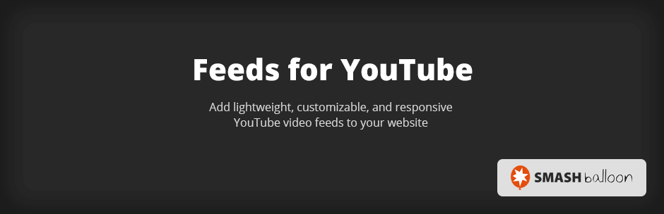 Feeds for YouTube- Free YouTube WordPress Plugin