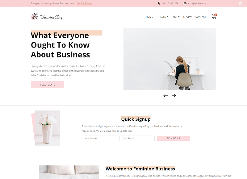 Feminine Business feminine WordPress themes