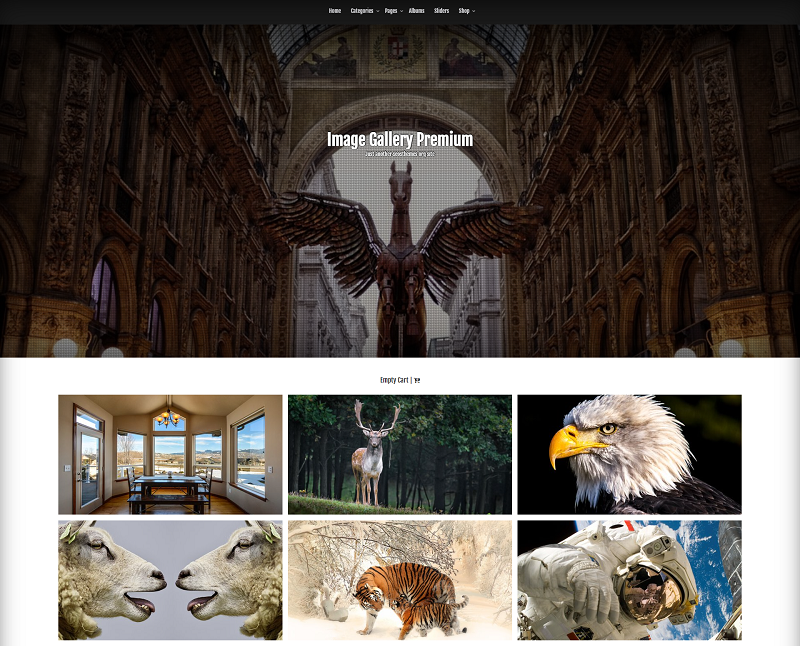 Image Gallery free gallery WordPress themes