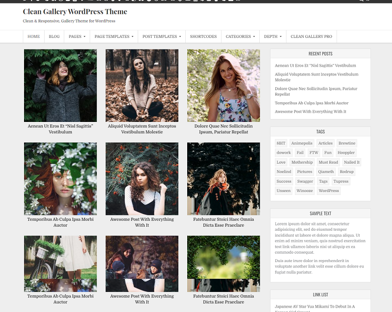 Clean Gallery Theme