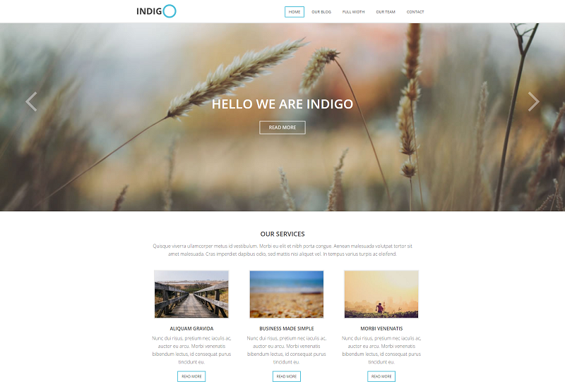 Indigo Lite WordPress theme