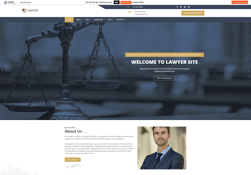 Expert Lawyer WordPress law theme