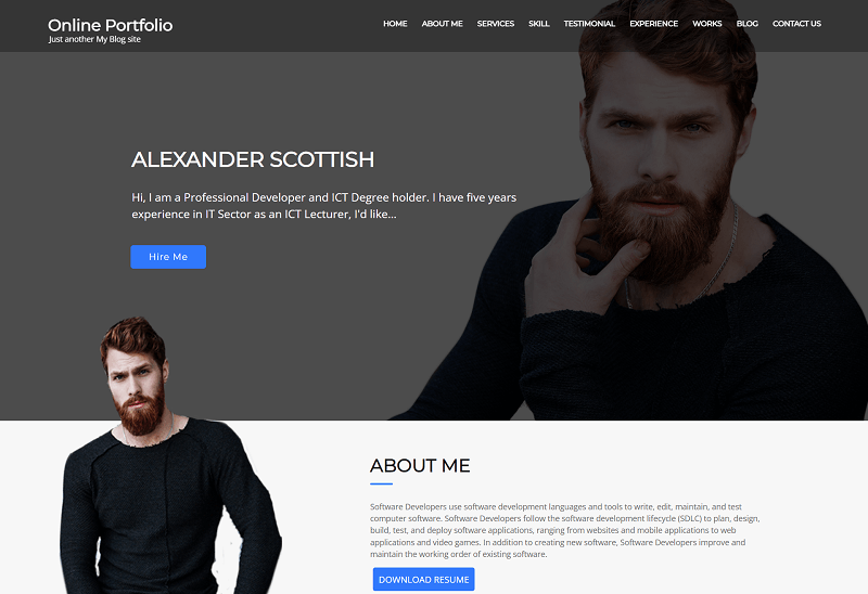 Online Portfolio theme
