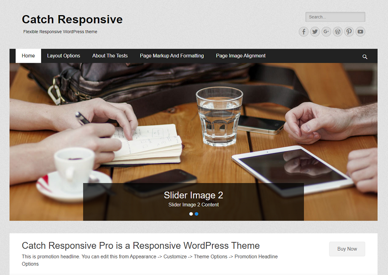 Catch-responsive theme