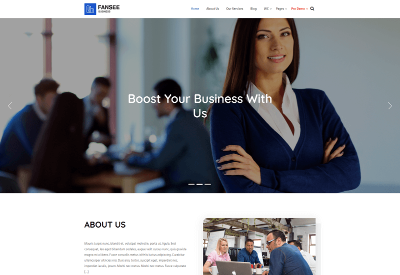 Fansee Business theme