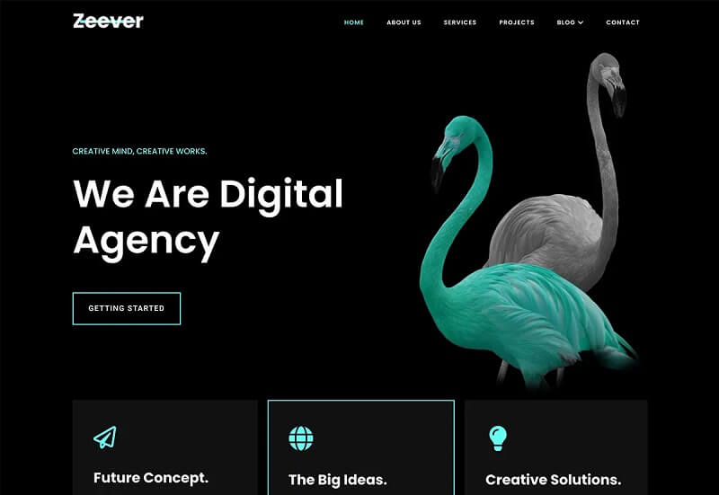 Zeever- Free Block WordPress Themes