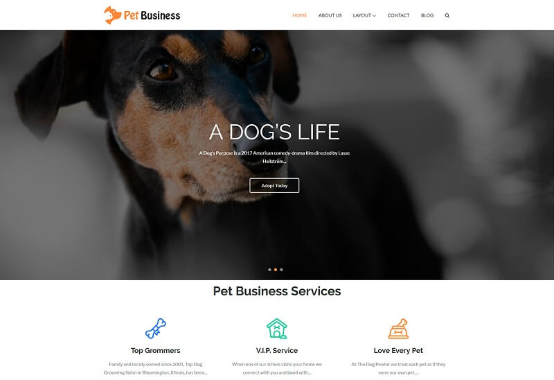 Pet Business theme