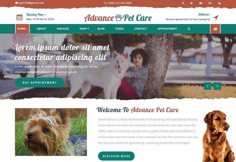Advance Pet Care theme