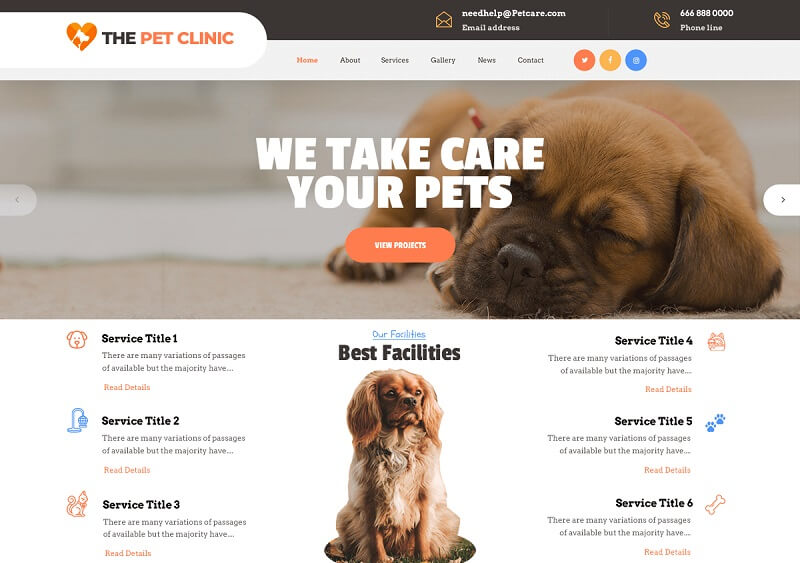 The Pet Clinic theme