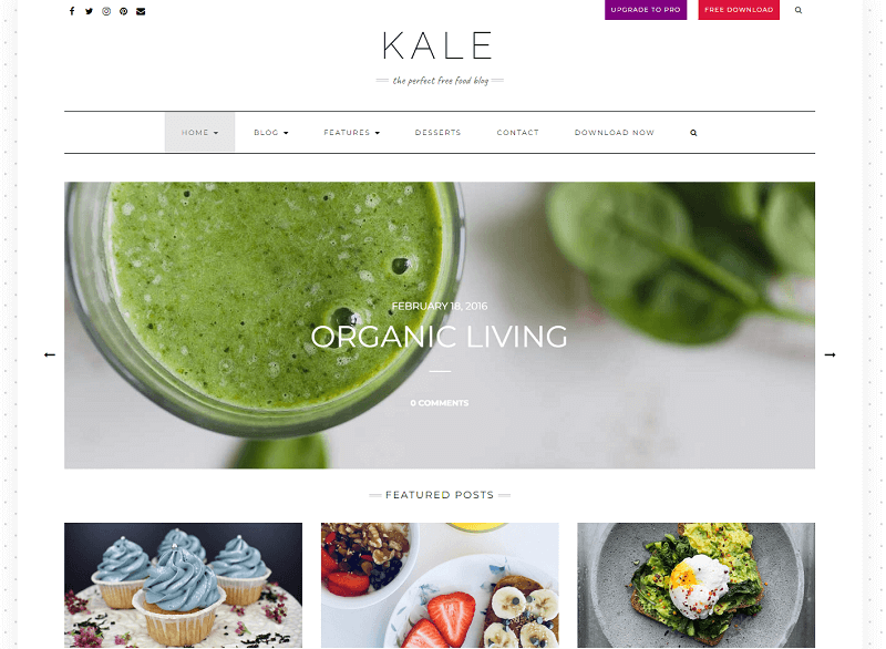 Kale- free food blog WordPress themes