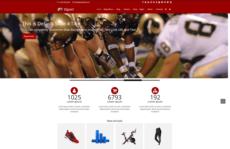 Free Rugby WordPress Themes