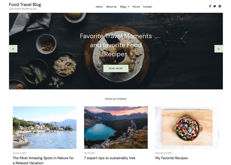 Food Travel Blog theme