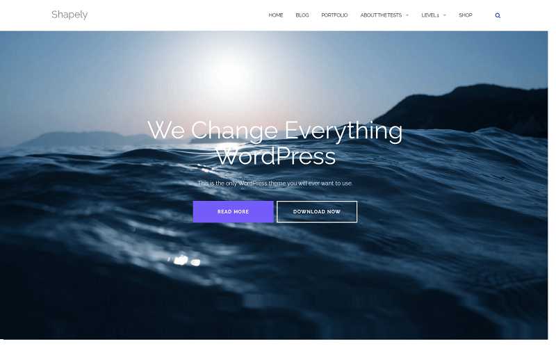 SEO Friendly WordPress Themes- Shapely theme