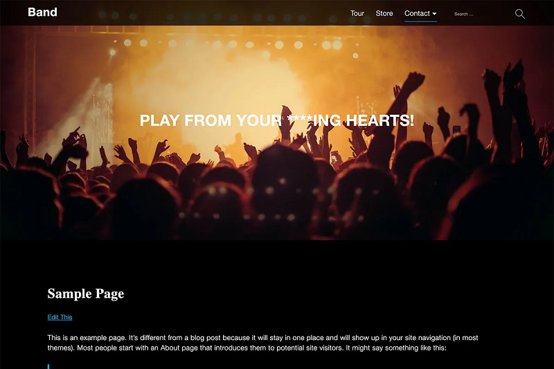 Bands WP Theme