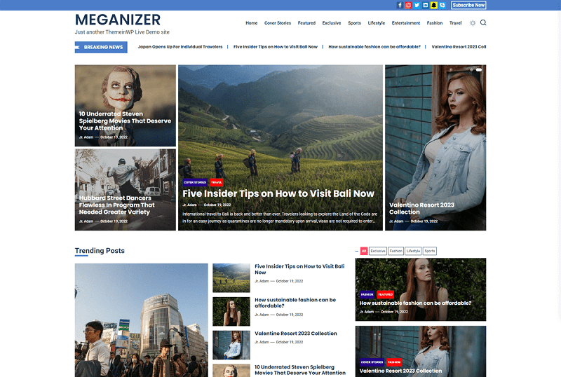 Free WordPress Review Theme - Meganizer