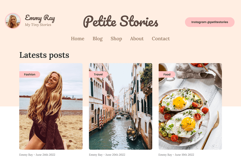 Instagram WordPress Themes