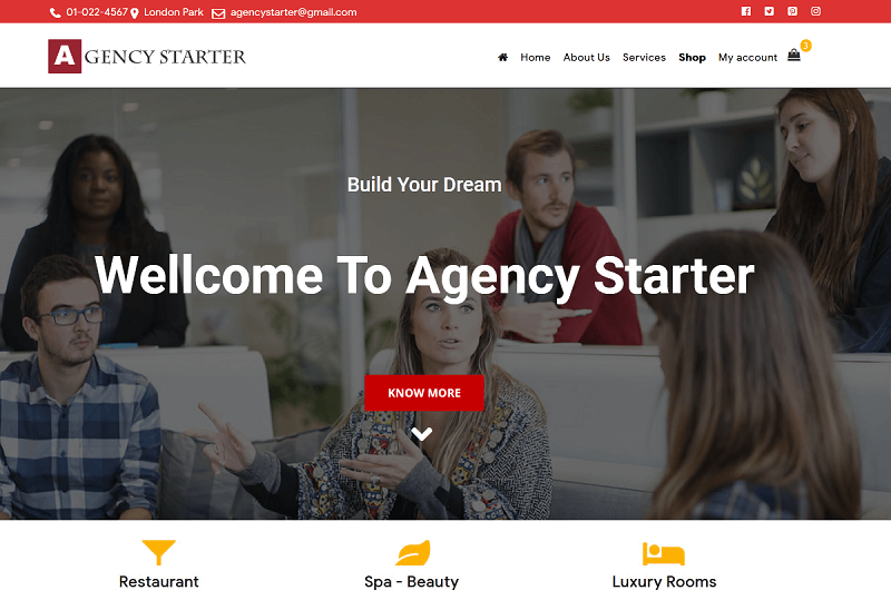 Agency Starter WP Theme