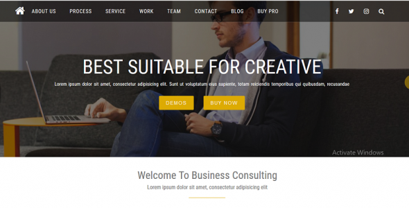 Free Consulting WordPress themes