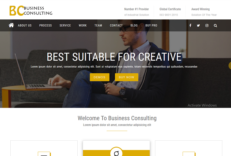 Free Consulting WordPress themes