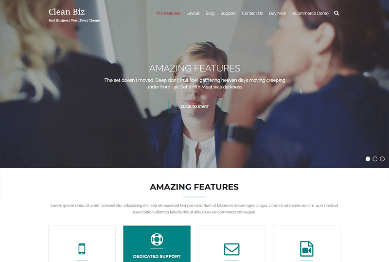 Clean Biz WP Theme