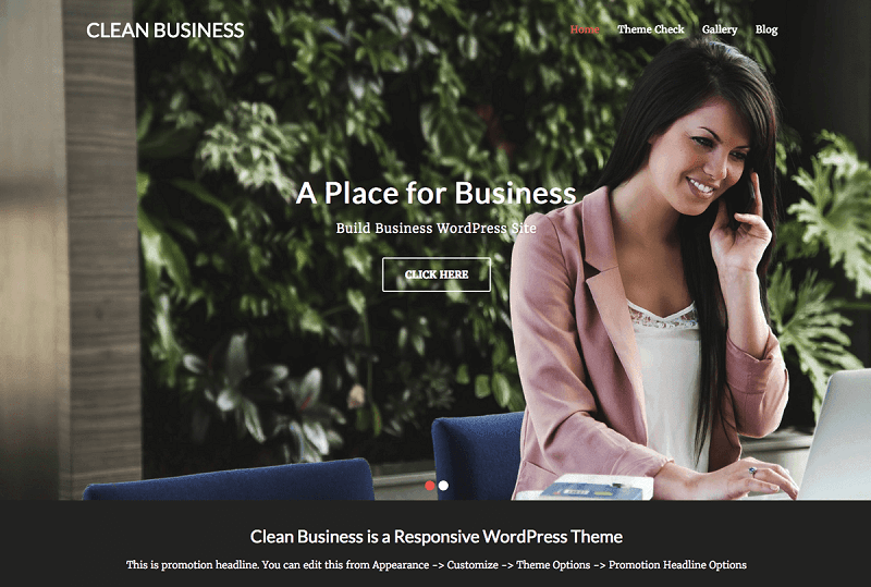 Clean Business WP Theme