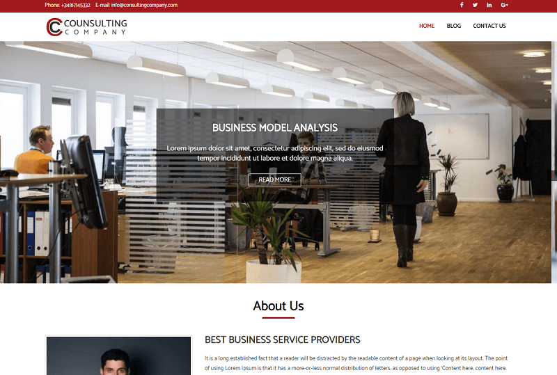Consulting Company WP theme
