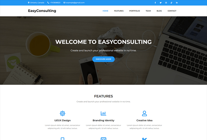 EasyConsulting theme