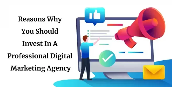 Reasons Why Invest In A Professional Digital Marketing Agency