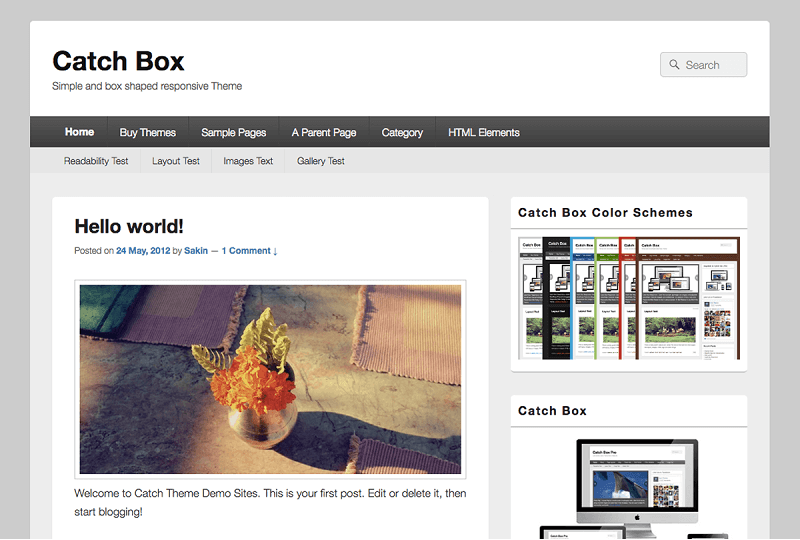 Catch Box free Pinterest WordPress Theme
