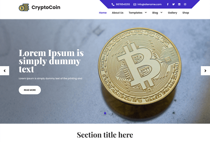Crypto Coin theme