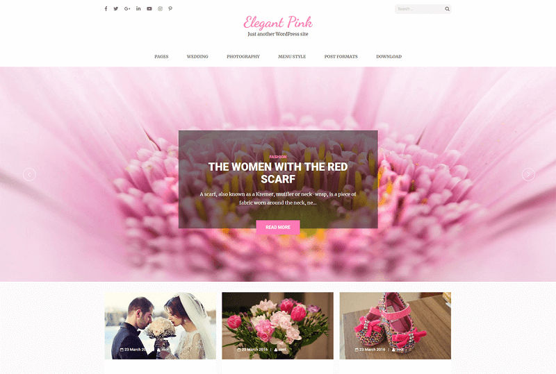 Elegant Pink WordPress Theme