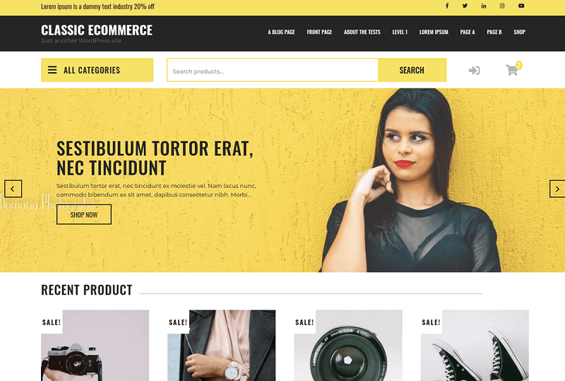 Classic Ecommerce theme