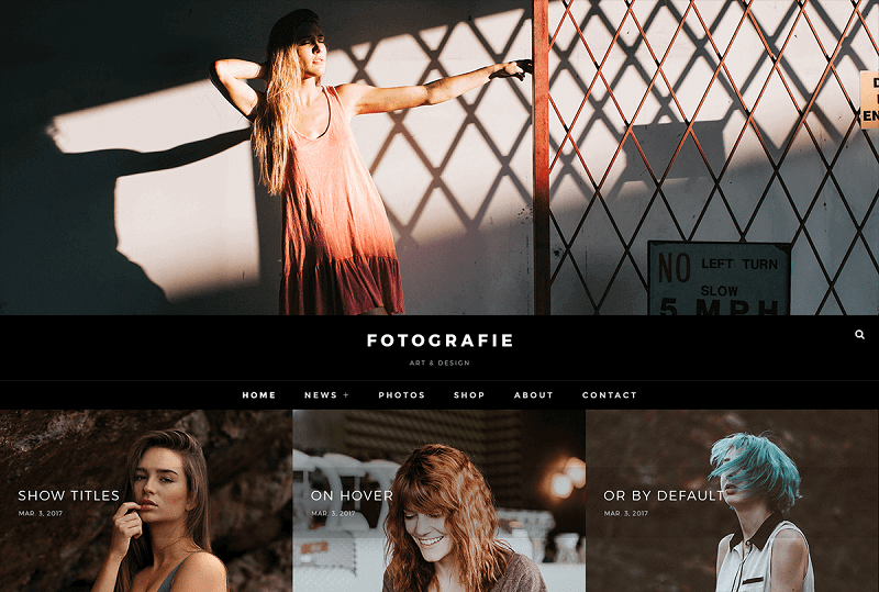 Fotografie WordPress themes for Graphic designers