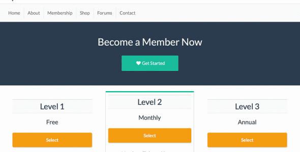 WordPress Themes for Membership Sites