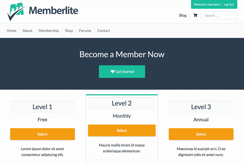 Memberlite WordPress Themes for Membership Sites