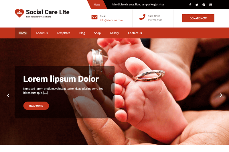 Social Care Lite WordPress Theme