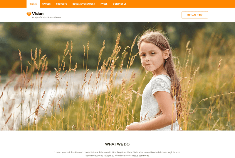 Vision Lite Donation WordPress Theme