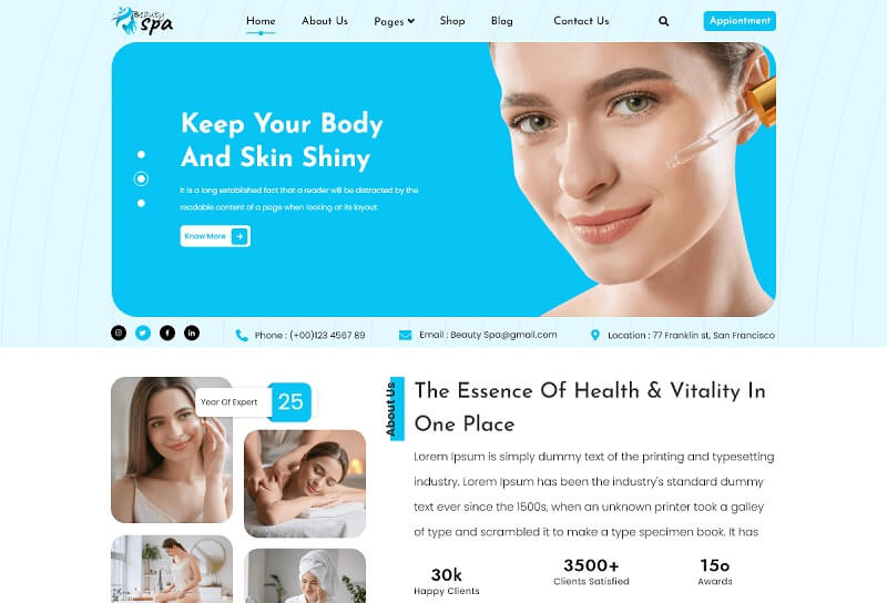 Skin Care WordPress Themes