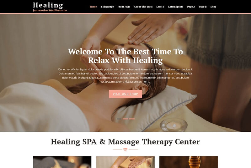 Healing Lite - Skin Care WordPress theme