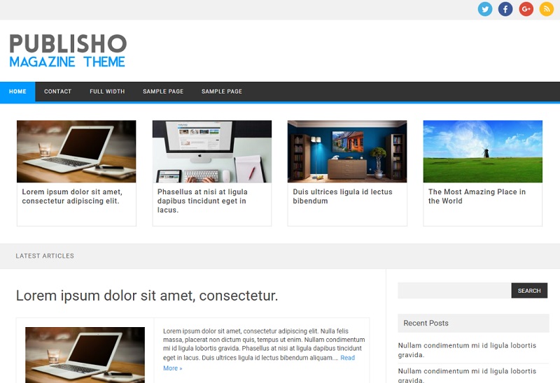 WordPress theme for Publishers