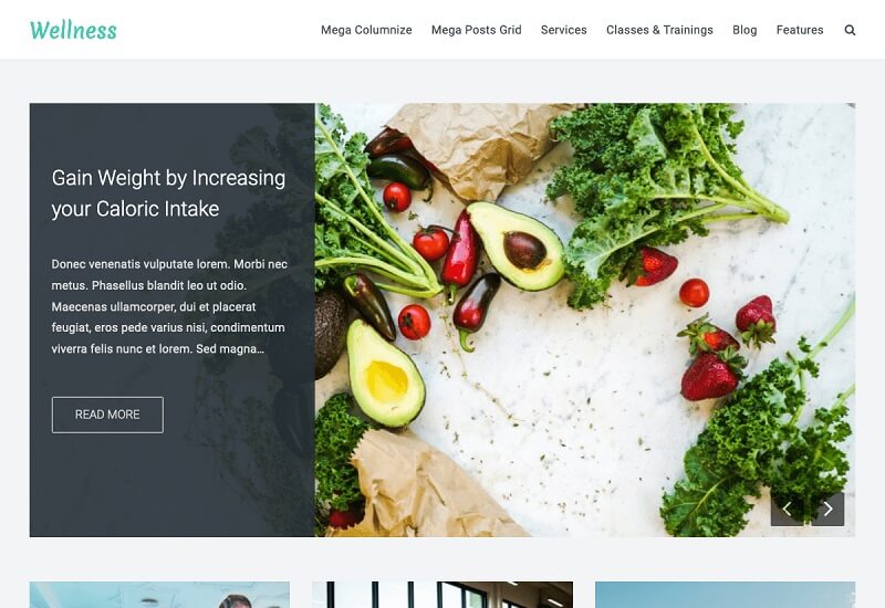 Wellness Skin Care WordPress theme