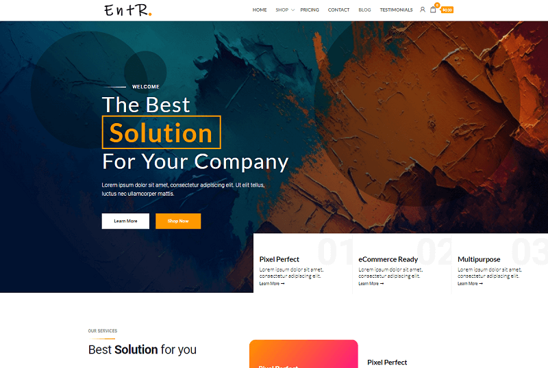 Entr Free Customizable WordPress Theme