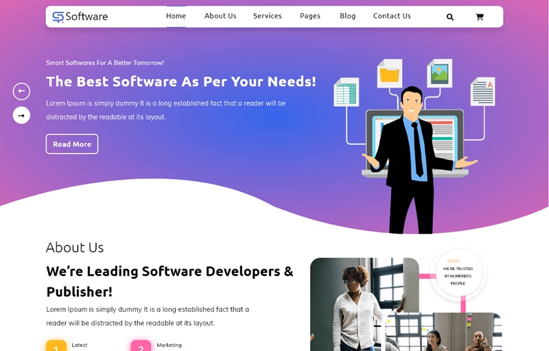 SAAS Software Technology