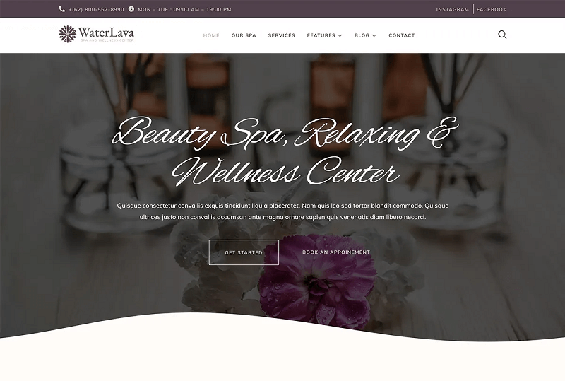 Wellness WordPress Themes