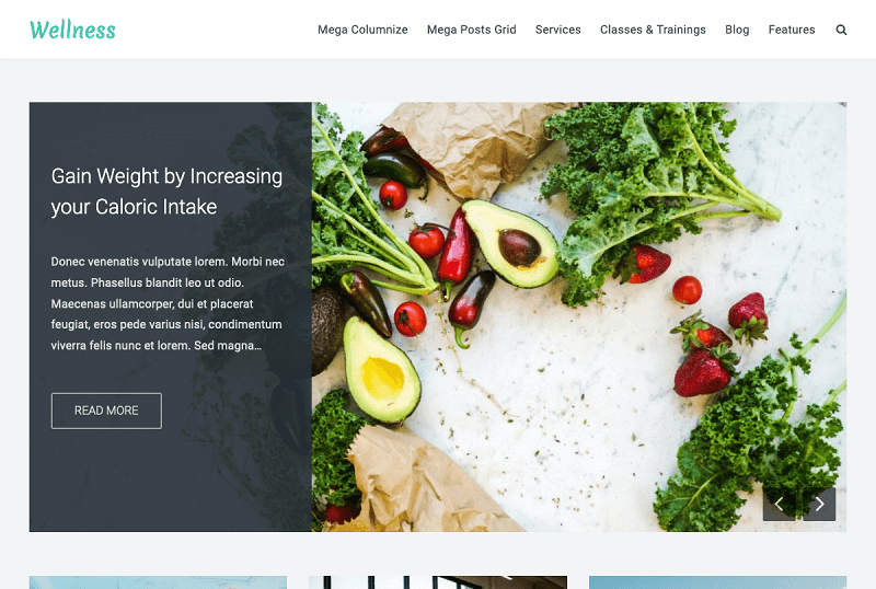 Wellness WordPress Theme