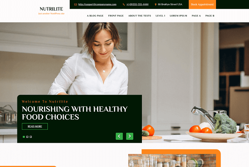 Nutrilite Lite Nutrition WordPress Theme
