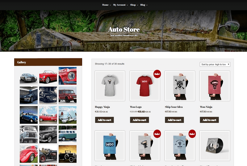 Auto Store WordPress Theme