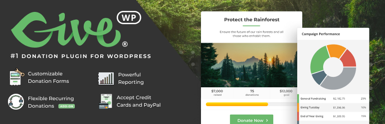 Donation WordPress Plugins