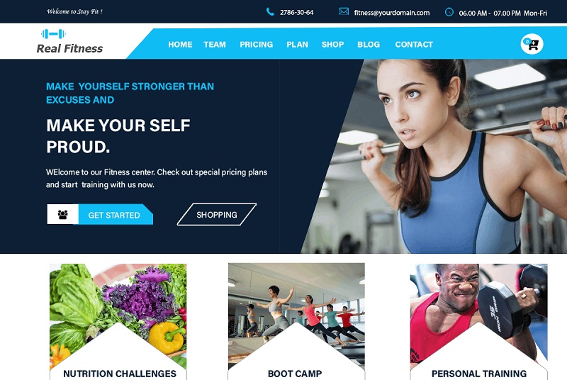 Real Fitness Martial Arts WordPress Theme