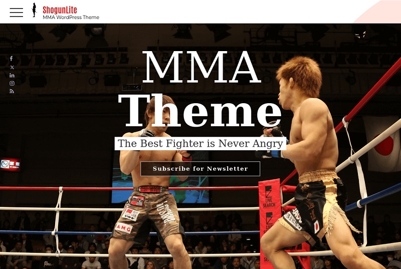 ShogunLite Martial Arts WordPress Theme